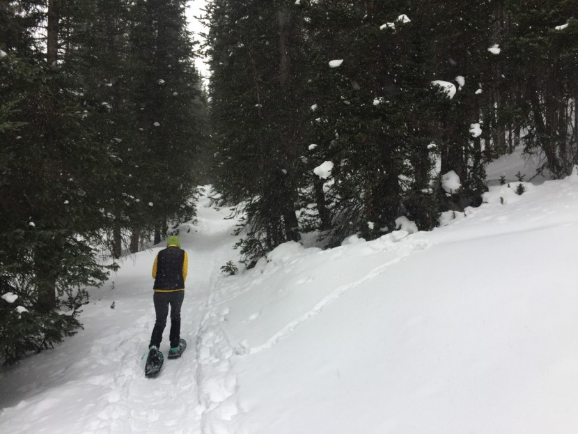 louis garneau blizzard iii for women - off we go into the beauty with the capable blizzard.