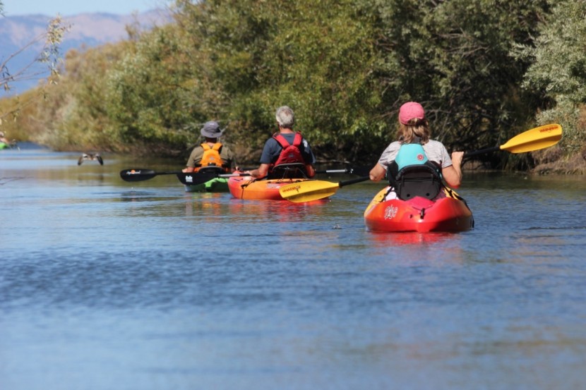 kayak paddle - different styles of kayaking will favor different style of kayak...