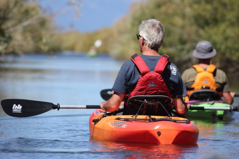 kayak paddle - a heavier budget paddle like the bending branches whisper is not too...