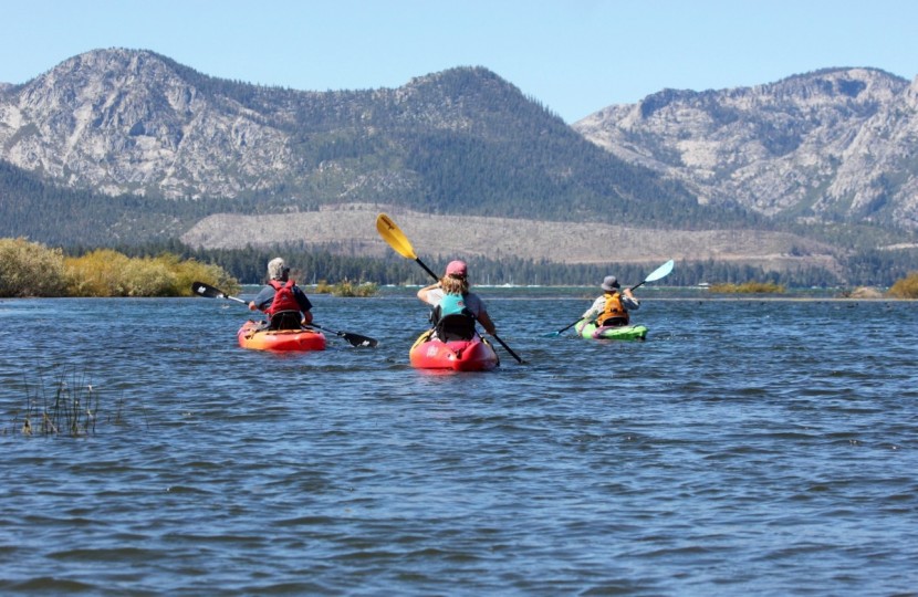 kayak paddle - when picking a paddle it is important to know the length and width...