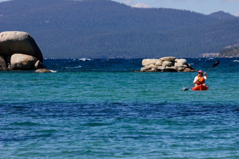 bending branches whisper - the slight flutter delivered by the polypropylene blades was not...