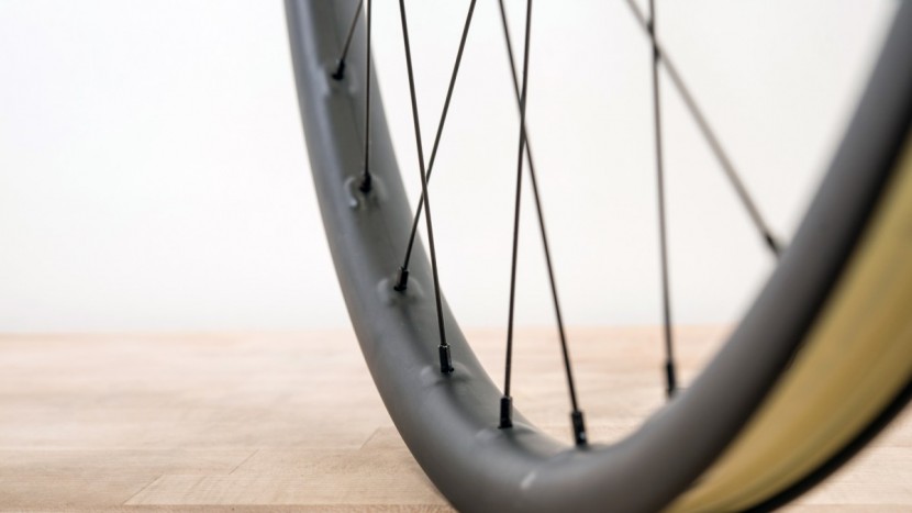 santa cruz reserve 30 carbon wheelset - the spoke hole reinforcements are clearly visible on the reserve...