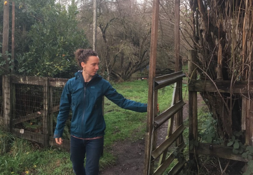 rei co-op drypoint gtx for women - with the rei drypoint, we could embark on a wide variety of soggy...