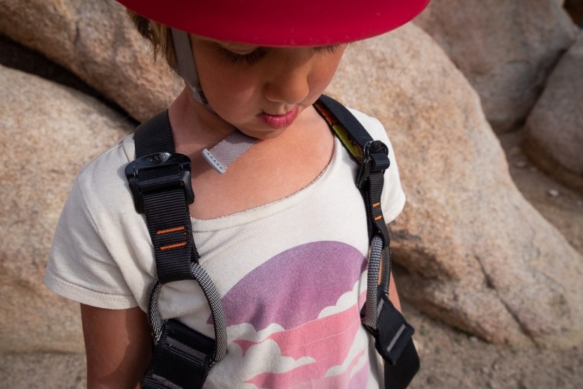 petzl simba - big, easy-to-use sliding buckles and big tie in points make this...