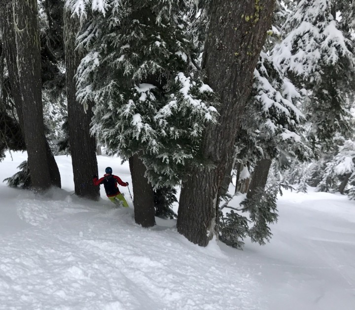 black diamond jetforce tour 26l - we felt the back panel struck a nice balance between comfort and...