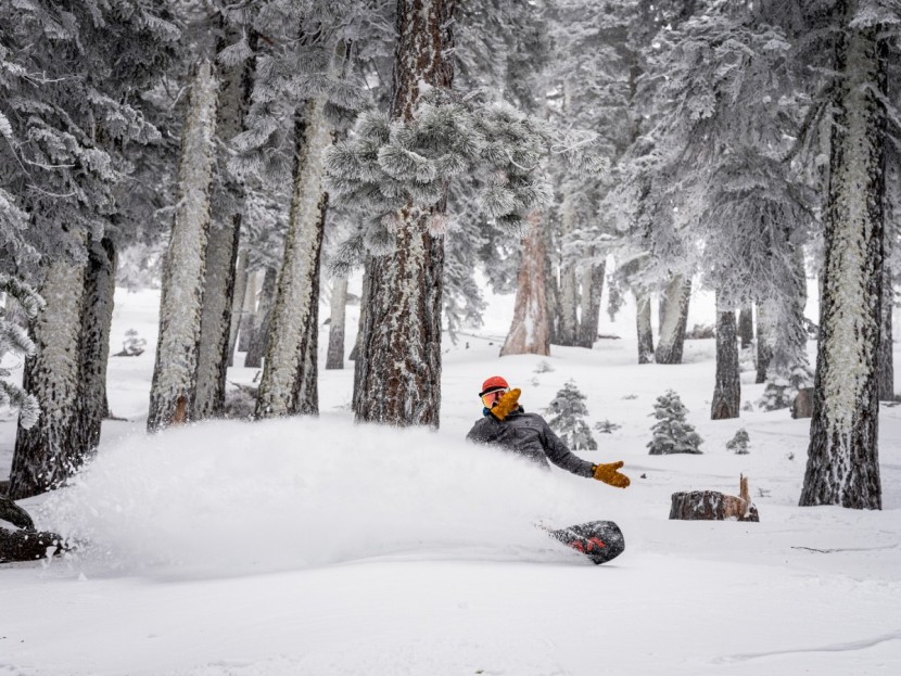 yes. optimistic - cultivating stoke with the optimistic.