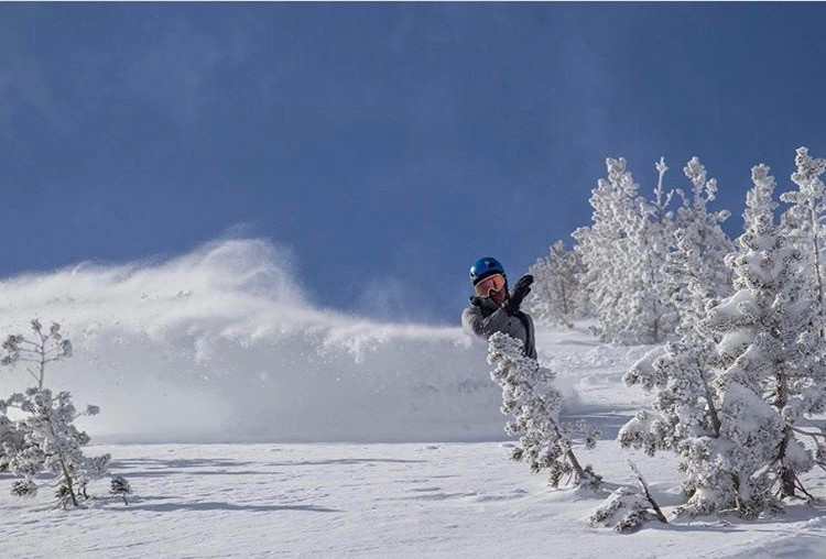 snowboard men - the burton high fidelity earned top marks in this category with its...