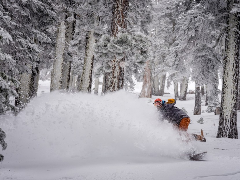 snowboard men - coming out of the shadows