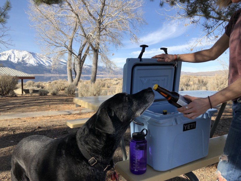 yeti roadie 20 - food and beer kept cold - check!