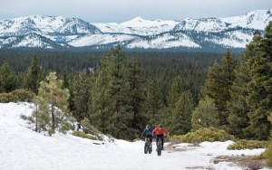 Lead photo for Best Fat Bikes