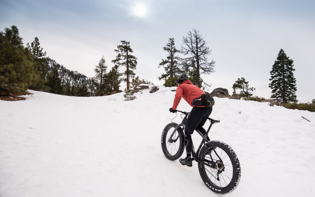 Salsa beargrease carbon online nx eagle fat bike