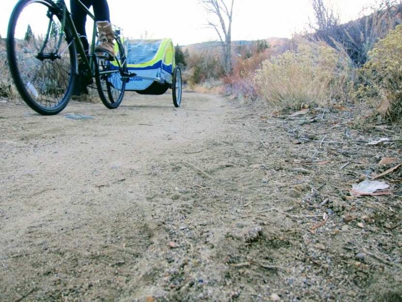 schwinn echo - thanks to its large wheels and secure hitch attachment, this trailer...