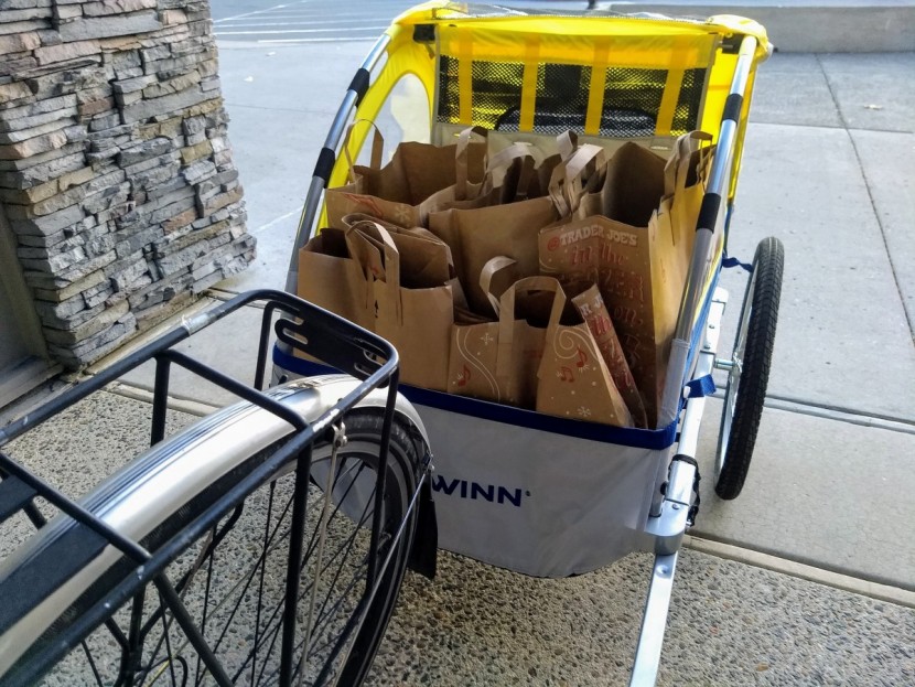 schwinn echo - we had no trouble towing a week&#039;s worth of groceries in the echo...