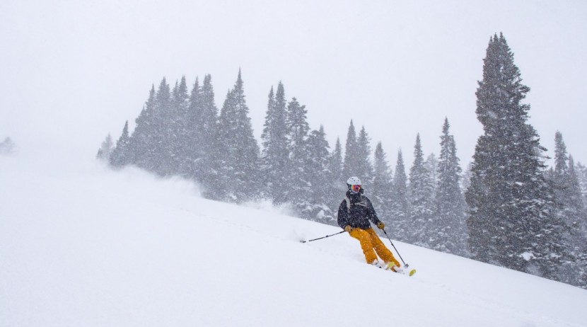 black diamond helio 105 - the black diamond helio is a powder-slaying machine for...