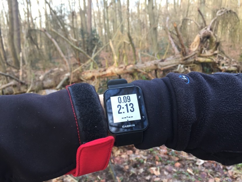 Garmin Forerunner 35 Smartwatch - GPS Running, Fitness