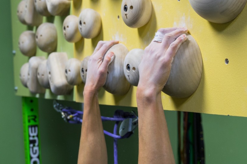 climbing chalk - as long as we gave these sloper holds a generous brushing between...