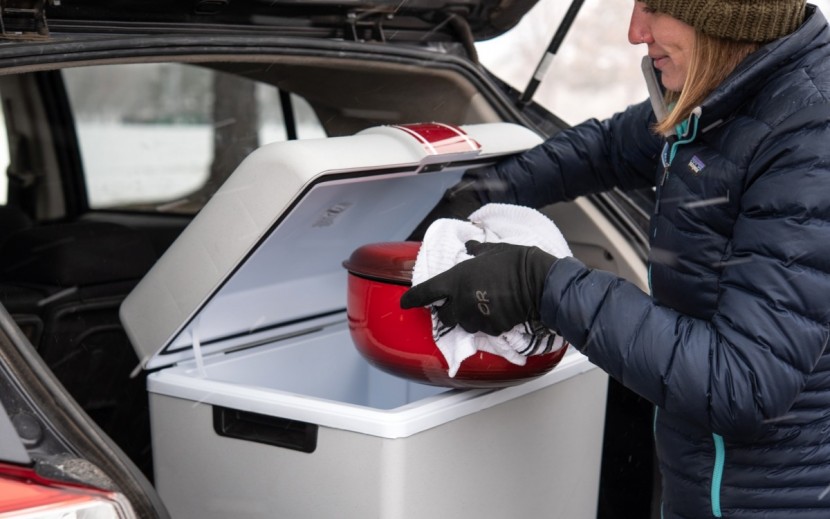 best thermoelectric cooler for car