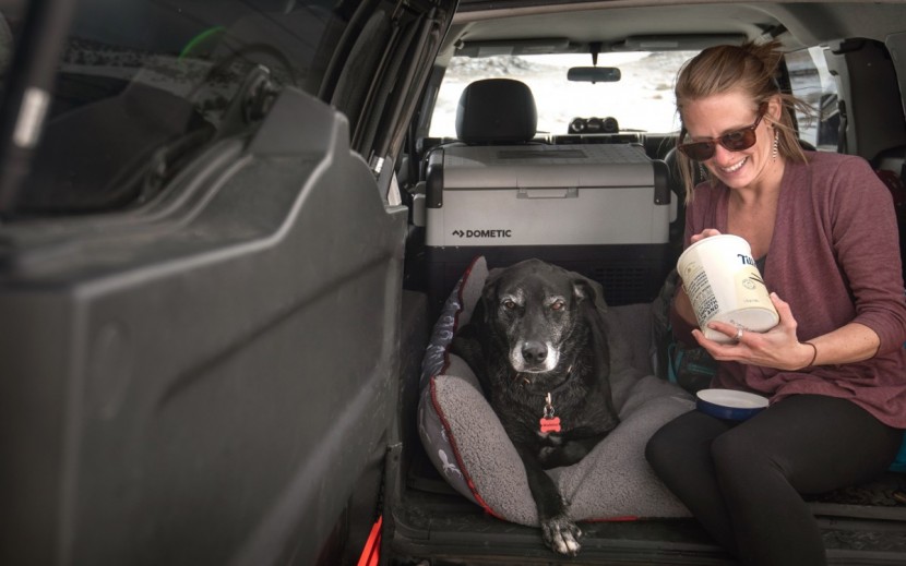 dometic cfx 50w - non-melted ice cream on a road trip?? yes please!!