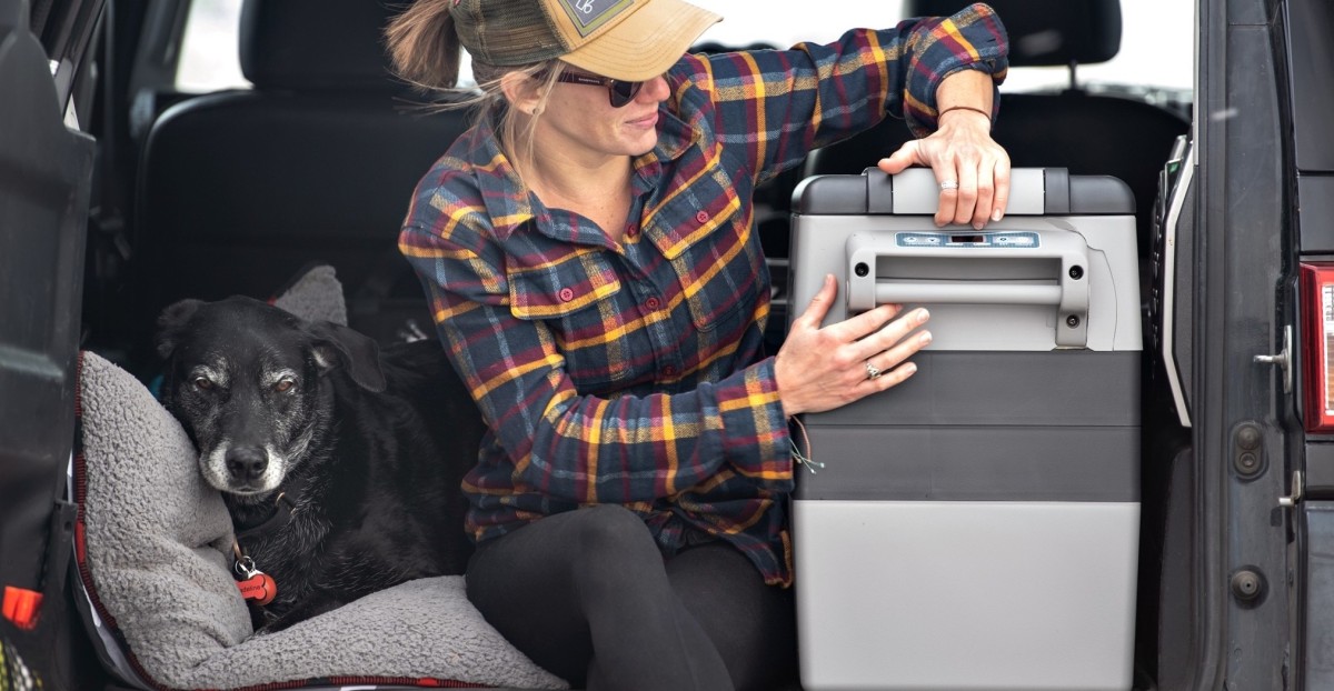 Best Powered Cooler Review (Enjoy the freedom of taking any food anywhere with the Costway - and the lightened load both on your arms and your...)