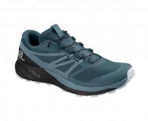 Salomon sense ride outlet 2 gtx invisible fit