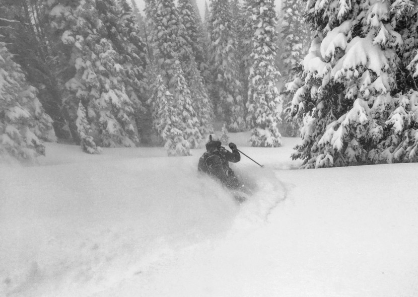 dynafit hoji pro tour - fast, deep powder for days. no matter your style of backcountry...