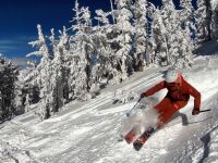 Not quite as burly as her predecessor, the Lange RX 110 can still do...