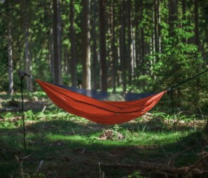 warbonnet original blackbird