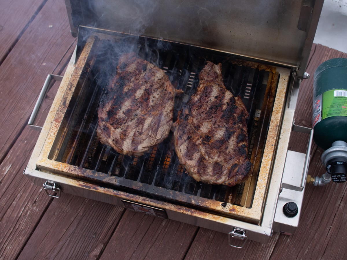solaire everywhere portable grill review