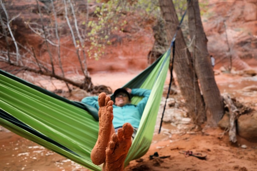 hammock - when it&#039;s hard to find a dry place to land, stringing up a comfy...