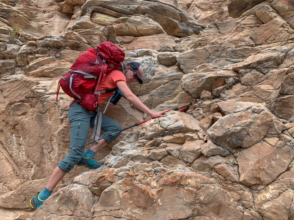 7 Best Hiking Pants for Women (2024) — Nomads in Nature