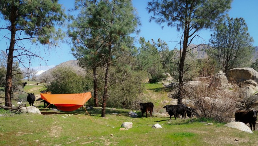 warbonnet original blackbird - this tarp offered some serious protection, impressing our testers as...