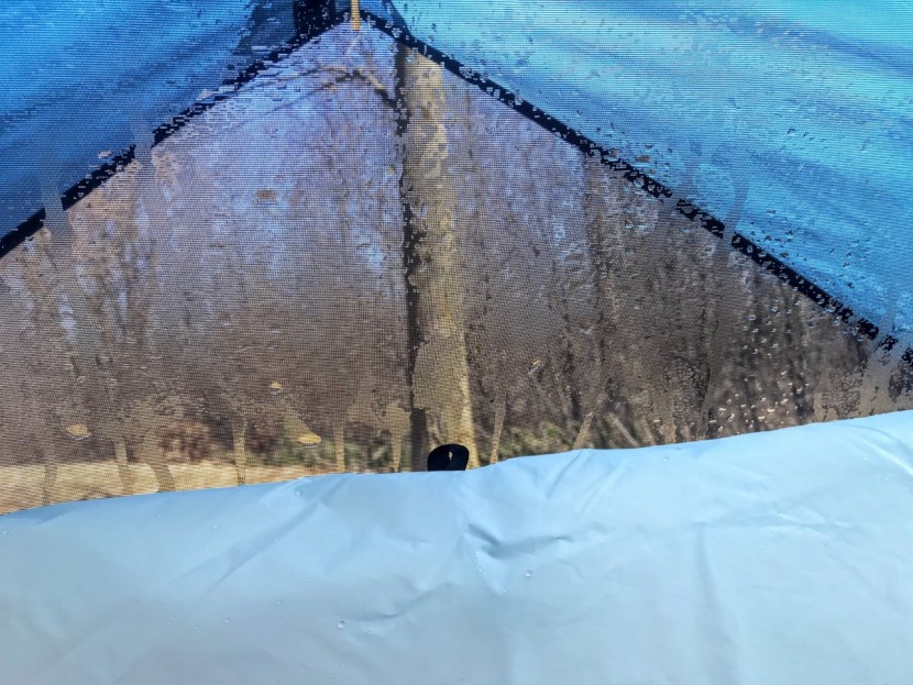 REI Co-op Camp Dome 2 Review | Tested & Rated