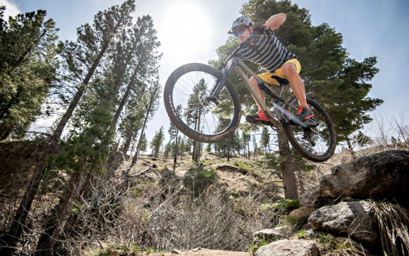 whyte s-120 carbon r - for a 120mm bike, the whyte does well on big impacts.