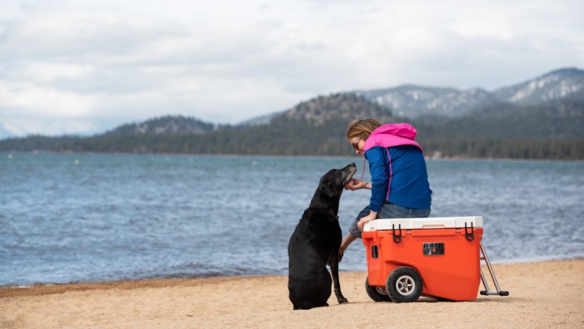 rovr rollr 60 - don&#039;t let crummy cooler wheels keep you from going where you want -...