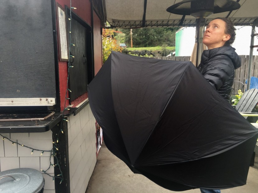 sharpty inverted - the large canopy diameter of the sharpty inverted doesn&#039;t tell the...