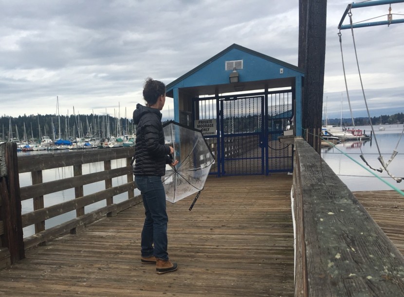 fulton birdcage - this umbrella is simple and easy to use. the open/close mechanism is...