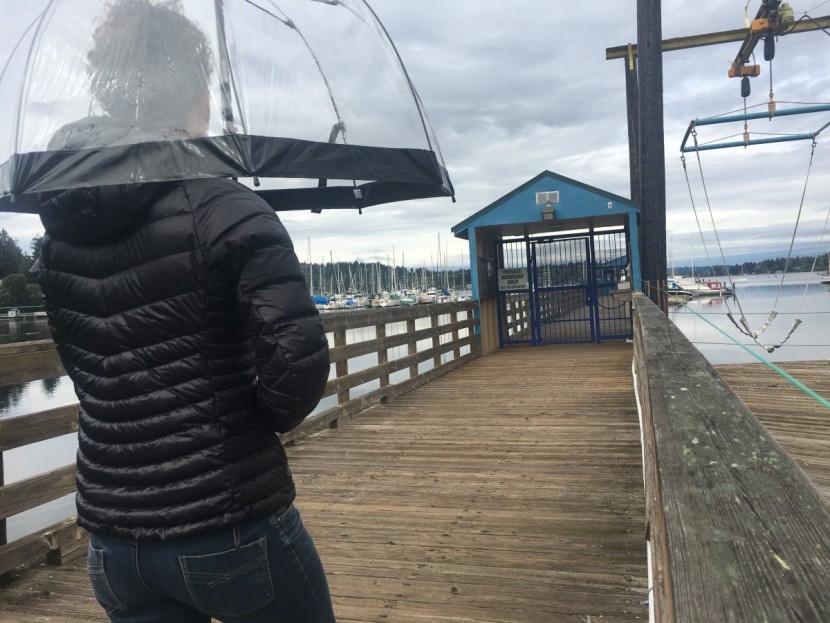 fulton birdcage - peering out from inside the birdcage.