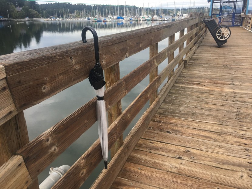 fulton birdcage - the birdcage&#039;s crook handle is easy to sling over an arm, doorknob...