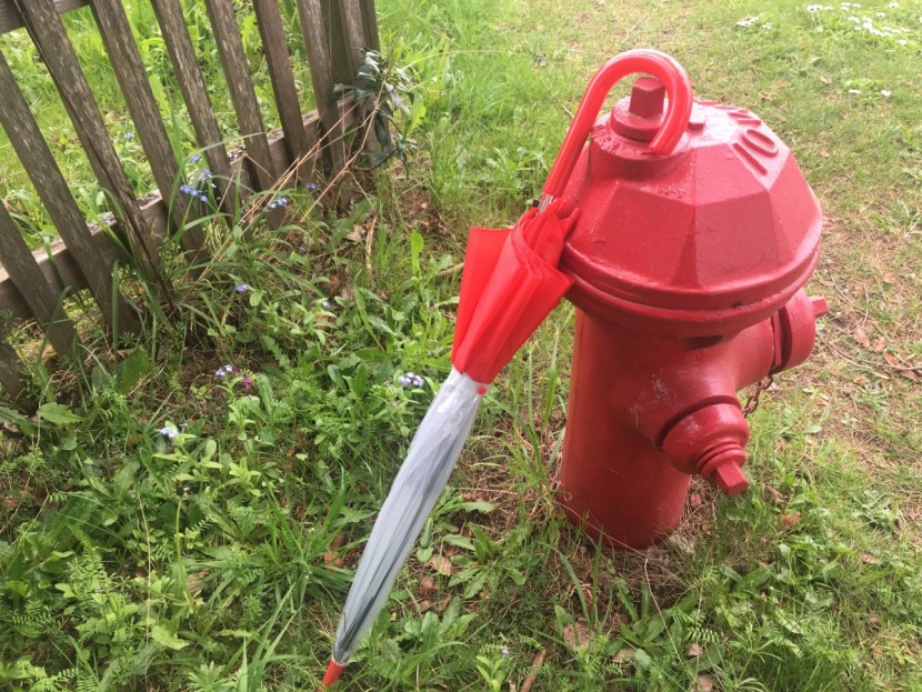 shedrain bubble - the bubble is a fun umbrella for occasional use. we can see kids...