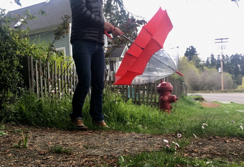 shedrain bubble - the bubble has an excellent and strong auto deploy button, but not...