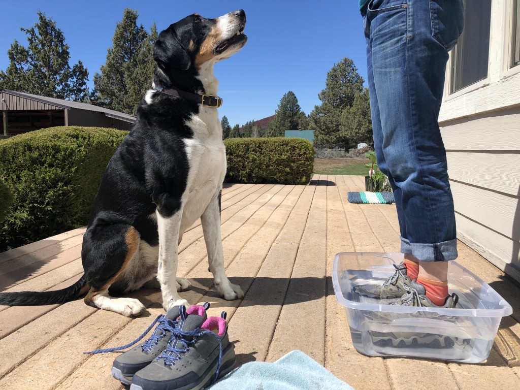 hiking shoes womens - our bucket test meant wearing each pair of shoes in 3 inches of...