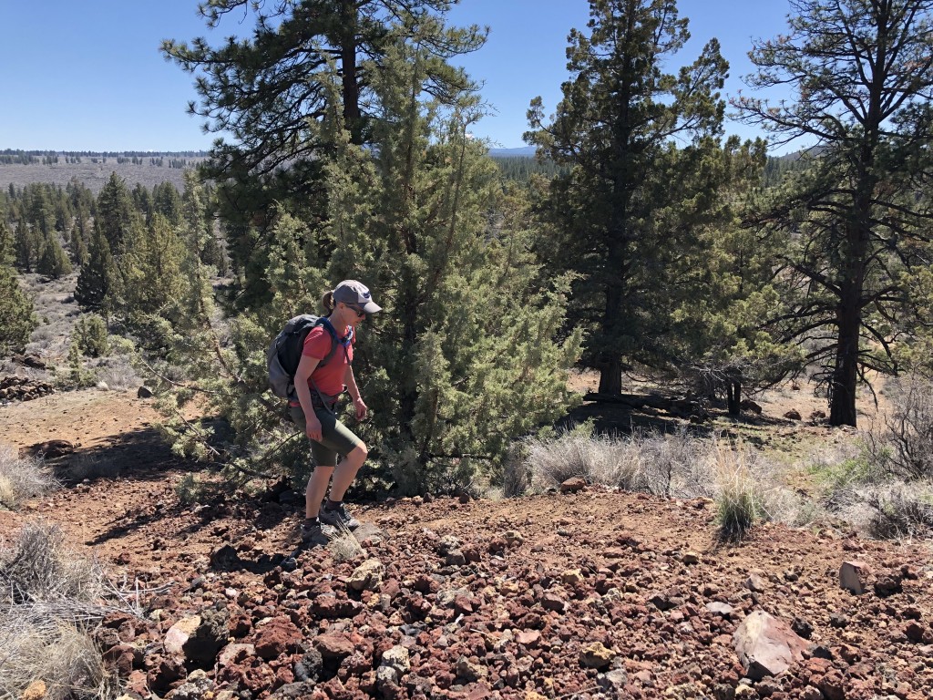 hiking shoes womens - we test hiking shoes on sharp rocks, steep trails, and rugged...