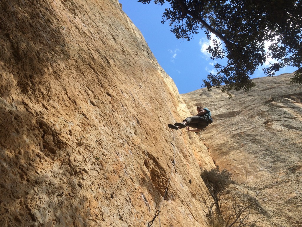 Edelrid Swift Eco Dry 8,9 mm Corde Arrampicata : Snowleader