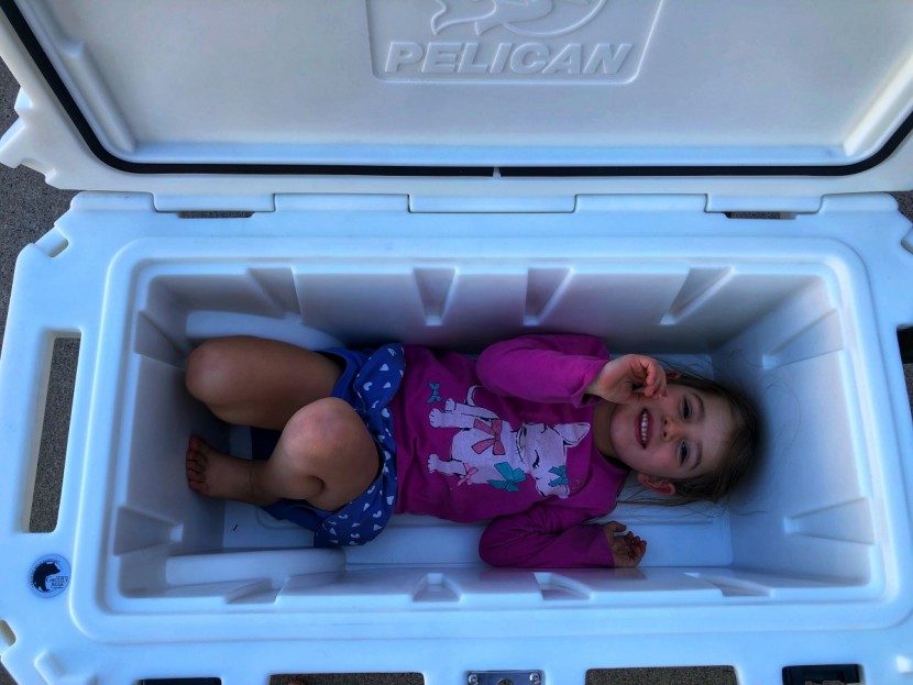 pelican elite wheeled - though it&#039;s large enough to fit a four-year-old, we don&#039;t recommend...