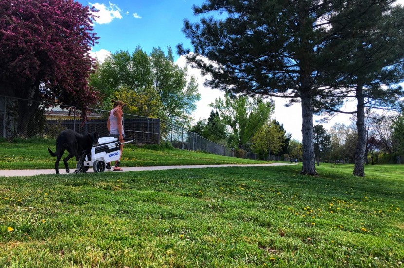 igloo trailmate marine - wheels: our favorite part of the igloo trailmate.