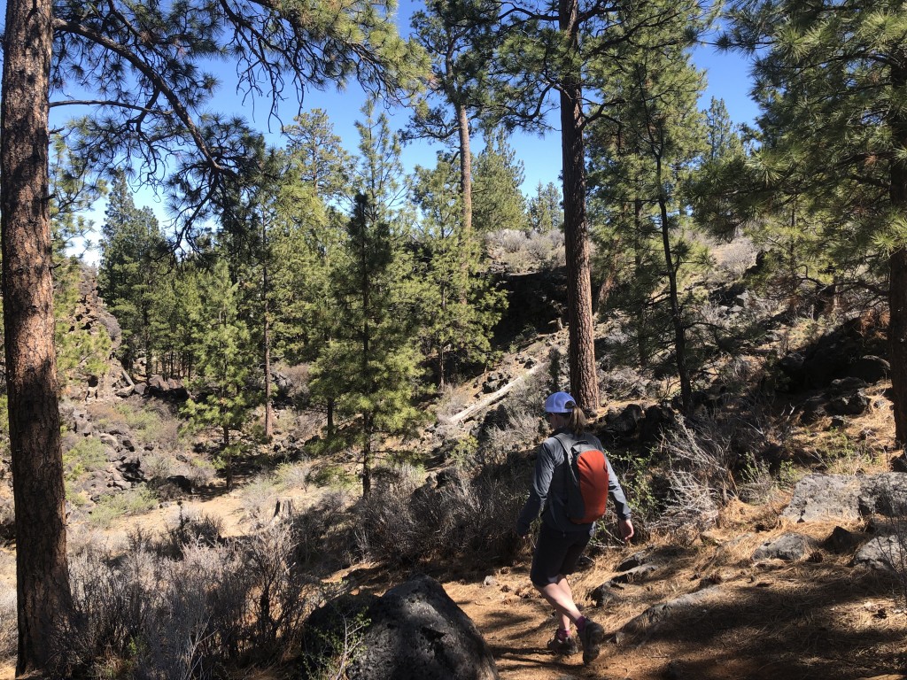 sawtooth ii low bdry