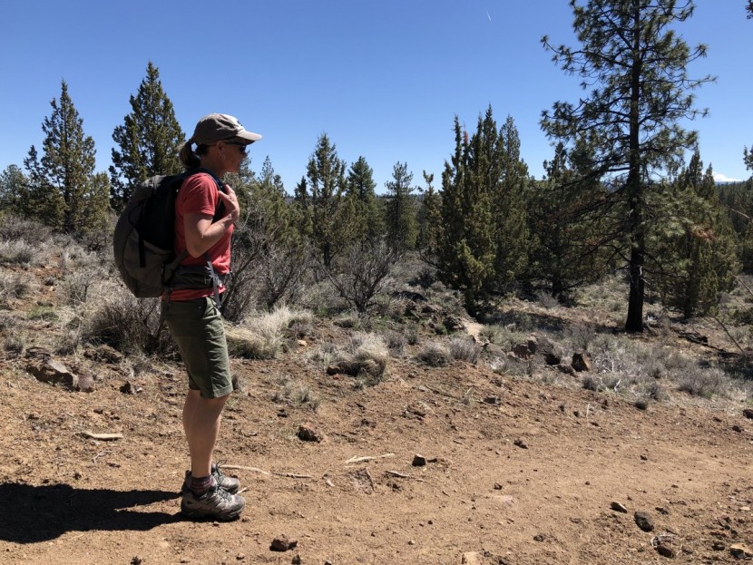 merrell moab 2 wp for women - the moab 2 is a great performing hiking shoe at a nice price!