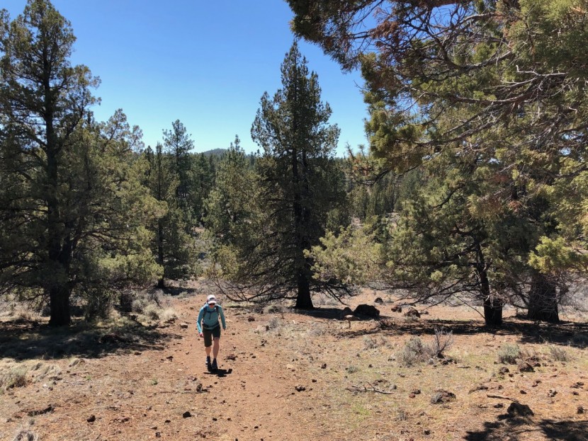 hoka tor summit wp for women - the tor summit is comfortable with weight, especially on...