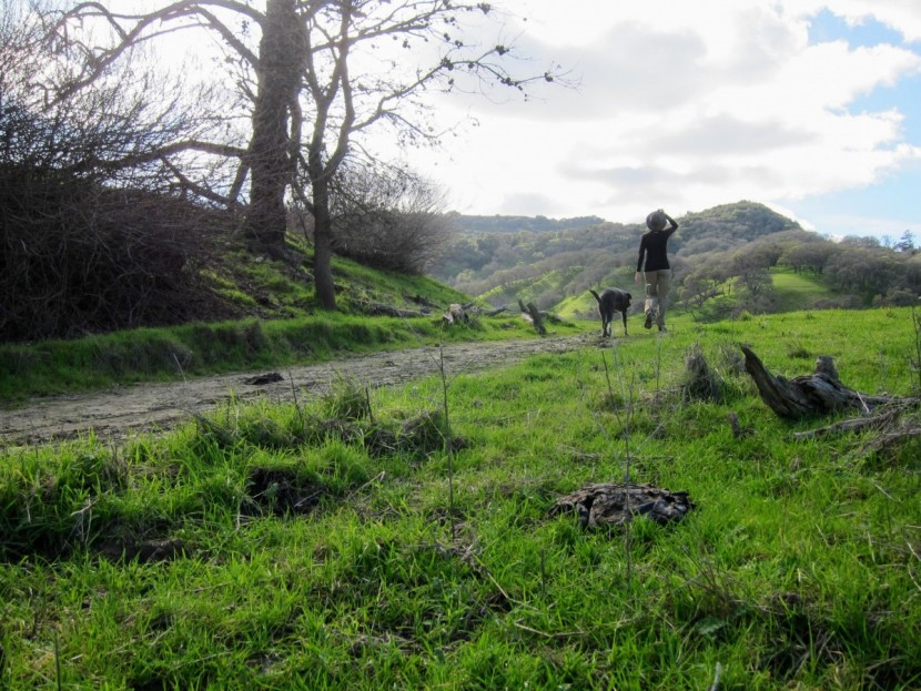 filson summer packer - the filson summer packer is a stylish option that performs well on...