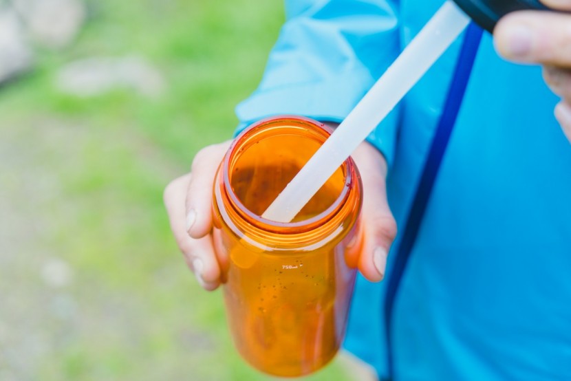 camelbak eddy+ - if the straw gets moldy or old, replacement parts are sold online...